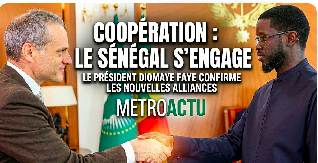 ⚡ Énergie : le Président Bassirou Diomaye Faye reçoit le DG de TARANIS Energy for Africa