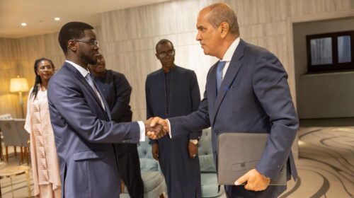 Depuis 2021, un conseil d&rsquo;affaires rapproche les entrepreneurs sénégalais et égyptiens.